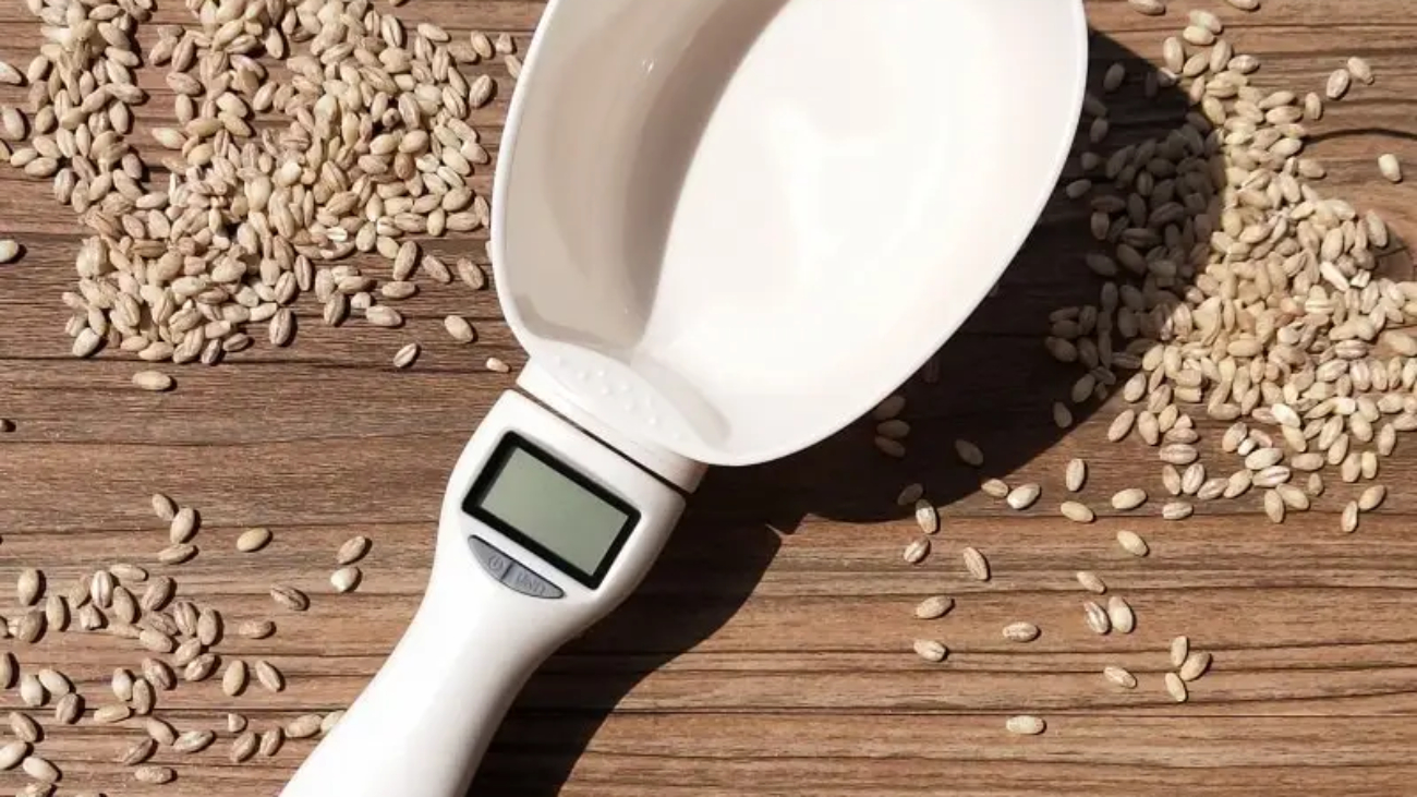 Pet Food Scale & Measuring Spoon Digital